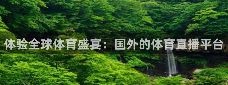 体验全球体育盛宴：国外的体育直播平台