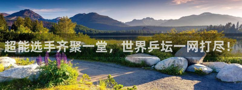 超能选手齐聚一堂，世界乒坛一网打尽！