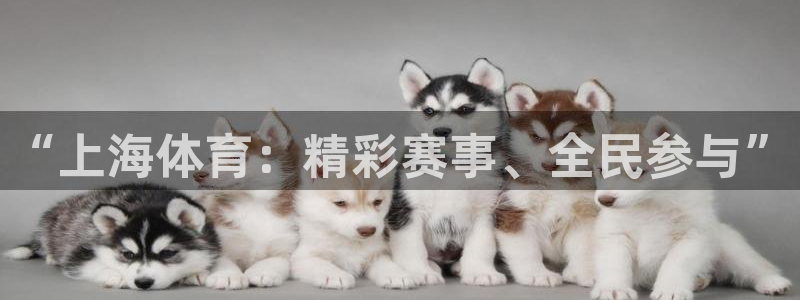 “上海体育：精彩赛事、全民参与”