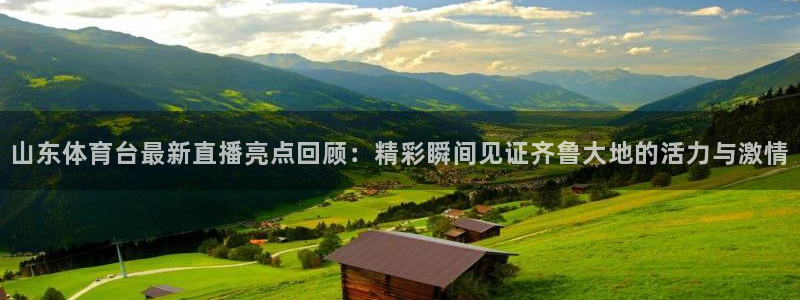 山东体育台最新直播亮点回顾：精彩瞬间见证齐鲁大地的活力与激情