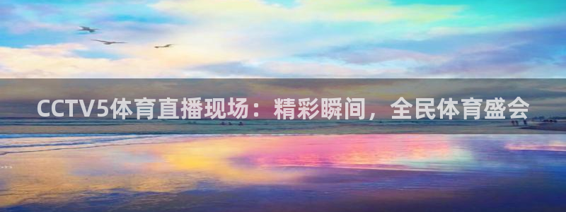CCTV5体育直播现场：精彩瞬间，全民体育盛会