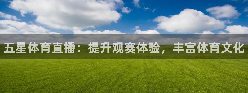 五星体育直播：提升观赛体验，丰富体育文化