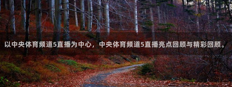 以中央体育频道5直播为中心，中央体育频道5直播亮点回顾与精彩回顾。