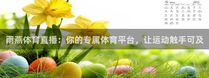 雨燕体育直播：你的专属体育平台，让运动触手可及