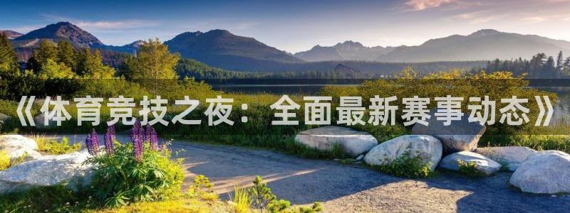 《体育竞技之夜：全面最新赛事动态》