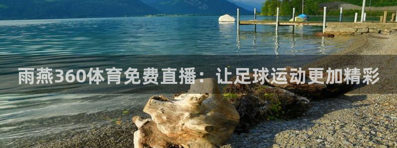 雨燕360体育免费直播：让足球运动更加精彩