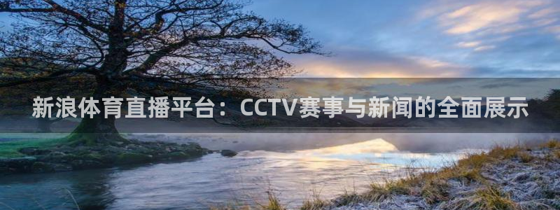 新浪体育直播平台：CCTV赛事与新闻的全面展示