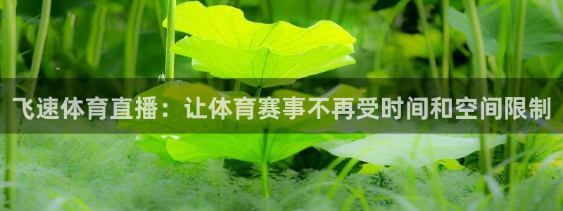 飞速体育直播：让体育赛事不再受时间和空间限制