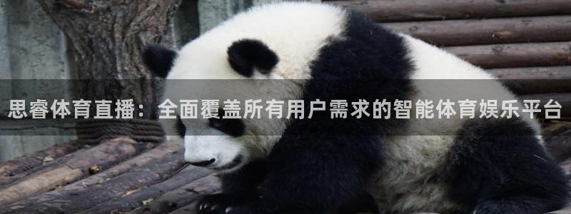 思睿体育直播：全面覆盖所有用户需求的智能体育娱乐平台