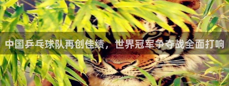 中国乒乓球队再创佳绩，世界冠军争夺战全面打响