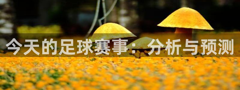 今天的足球赛事：分析与预测