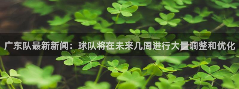 广东队最新新闻：球队将在未来几周进行大量调整和优化