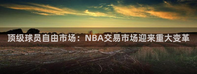 顶级球员自由市场：NBA交易市场迎来重大变革