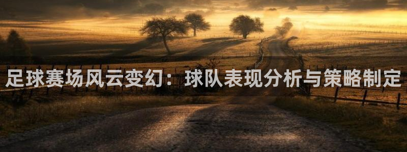 足球赛场风云变幻：球队表现分析与策略制定