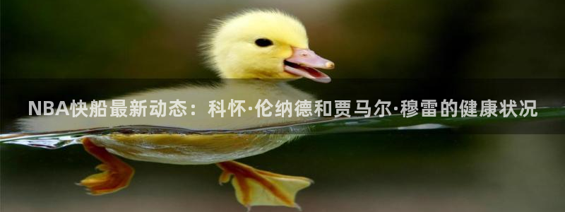 NBA快船最新动态：科怀·伦纳德和贾马尔·穆雷的健康状况