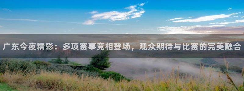 广东今夜精彩：多项赛事竞相登场，观众期待与比赛的完美融合