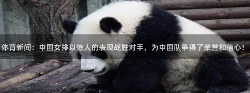 体育新闻：中国女排以惊人的表现战胜对手，为中国队争得了荣誉和信心！