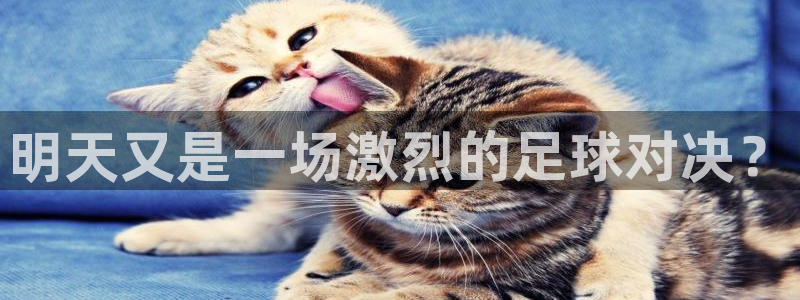 明天又是一场激烈的足球对决？