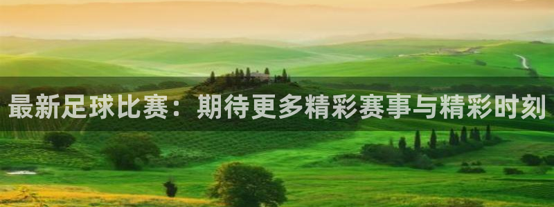 最新足球比赛：期待更多精彩赛事与精彩时刻