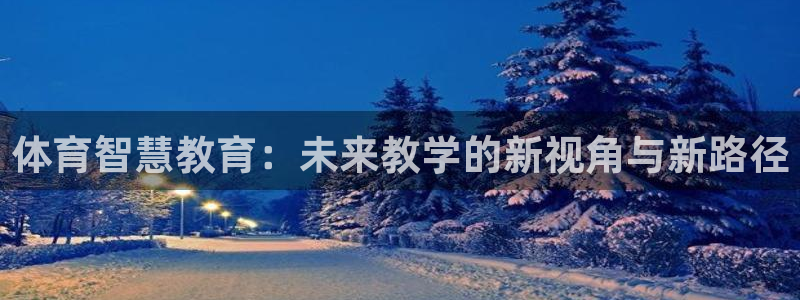 体育智慧教育：未来教学的新视角与新路径
