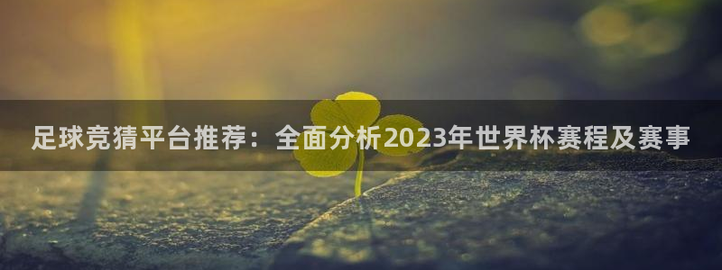 足球竞猜平台推荐：全面分析2023年世界杯赛程及赛事