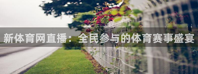 新体育网直播：全民参与的体育赛事盛宴