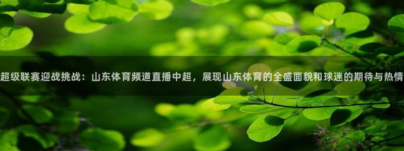 超级联赛迎战挑战：山东体育频道直播中超，展现山东体育的全盛面貌和球迷的期待与热情
