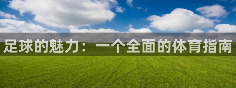 足球的魅力：一个全面的体育指南