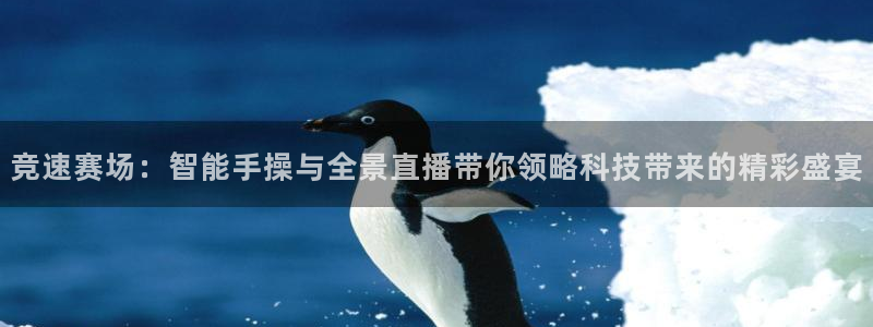 竞速赛场：智能手操与全景直播带你领略科技带来的精彩盛宴