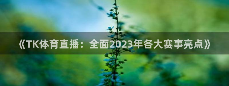 《TK体育直播：全面2023年各大赛事亮点》