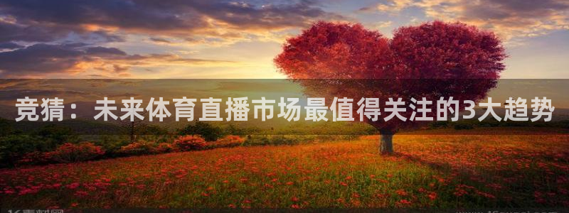 竞猜：未来体育直播市场最值得关注的3大趋势