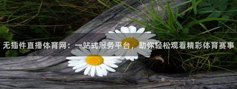无插件直播体育网：一站式服务平台，助你轻松观看精彩体育赛事
