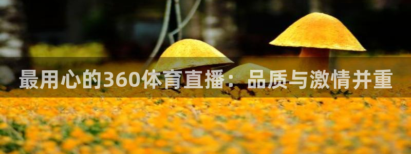 最用心的360体育直播：品质与激情并重