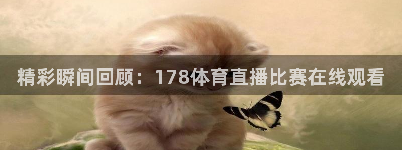 精彩瞬间回顾：178体育直播比赛在线观看