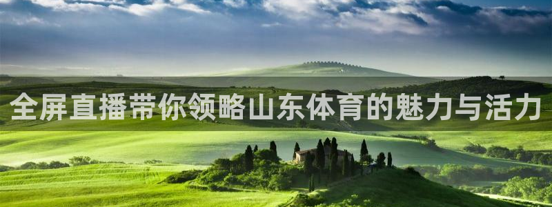 全屏直播带你领略山东体育的魅力与活力