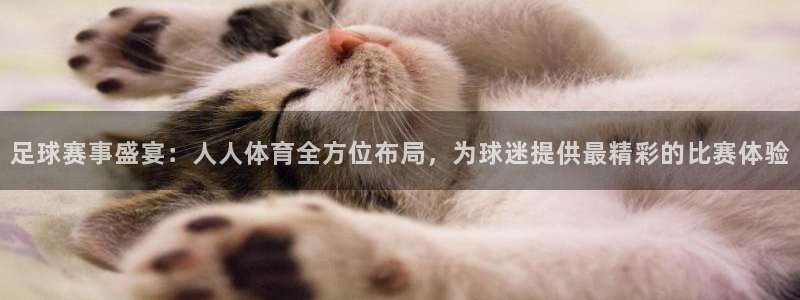 足球赛事盛宴：人人体育全方位布局，为球迷提供最精彩的比赛体验