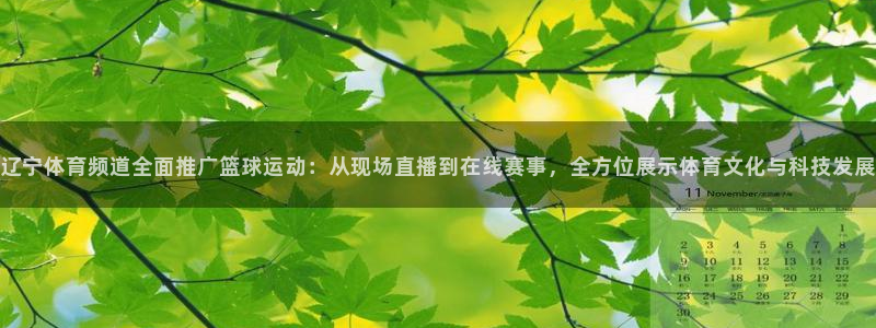 辽宁体育频道全面推广篮球运动：从现场直播到在线赛事，全方位展示体育文化与科技发展