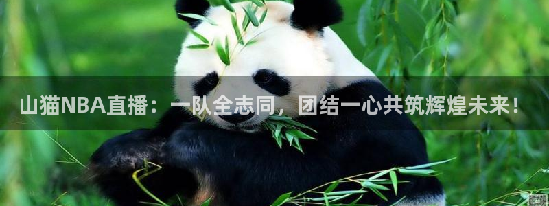 山猫NBA直播：一队全志同，团结一心共筑辉煌未来！