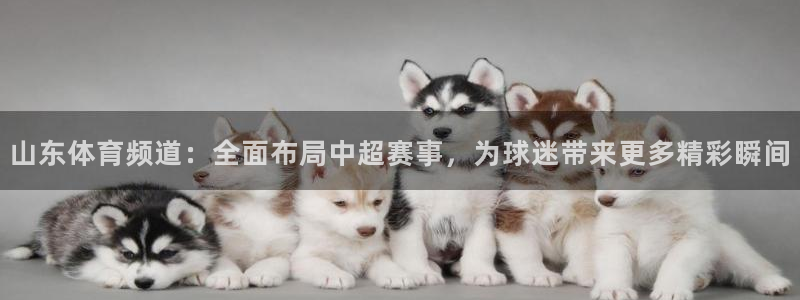 山东体育频道：全面布局中超赛事，为球迷带来更多精彩瞬间