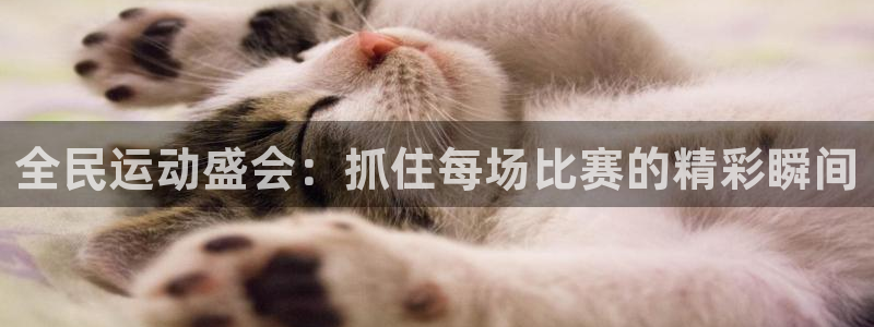 全民运动盛会：抓住每场比赛的精彩瞬间