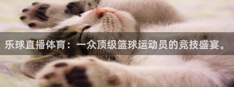 乐球直播体育：一众顶级篮球运动员的竞技盛宴。