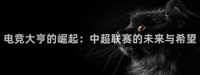 电竞大亨的崛起：中超联赛的未来与希望