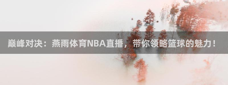 巅峰对决：燕雨体育NBA直播，带你领略篮球的魅力！