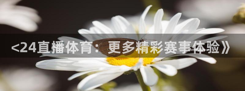 <24直播体育：更多精彩赛事体验》