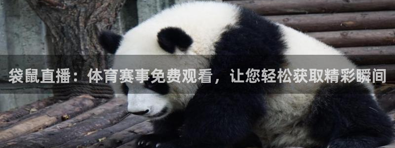 袋鼠直播：体育赛事免费观看，让您轻松获取精彩瞬间