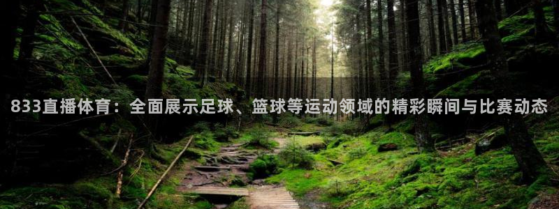 833直播体育：全面展示足球、篮球等运动领域的精彩瞬间与比赛动态
