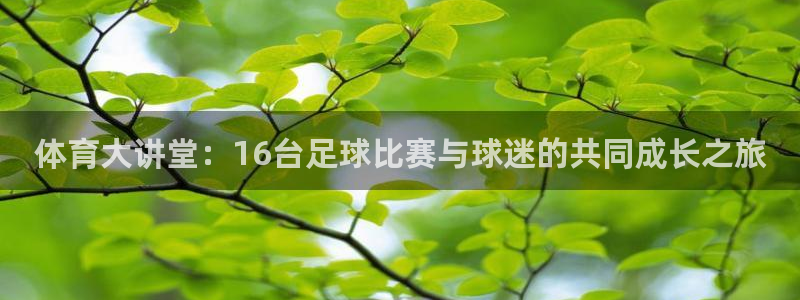 体育大讲堂：16台足球比赛与球迷的共同成长之旅