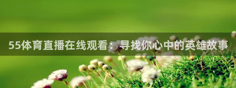 55体育直播在线观看：寻找你心中的英雄故事