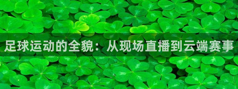 足球运动的全貌：从现场直播到云端赛事
