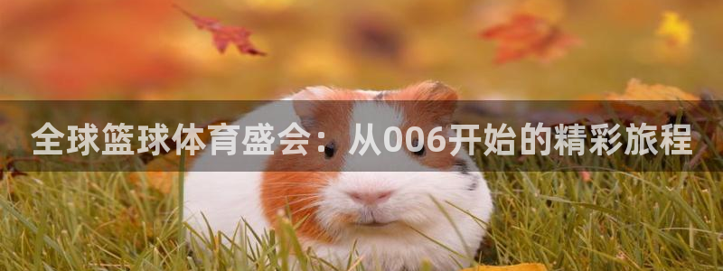 全球篮球体育盛会：从006开始的精彩旅程